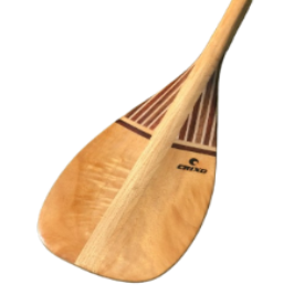 Remo de Sup CXO Elite